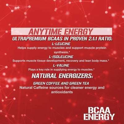 EVL BCAAs Amino Acids Powder