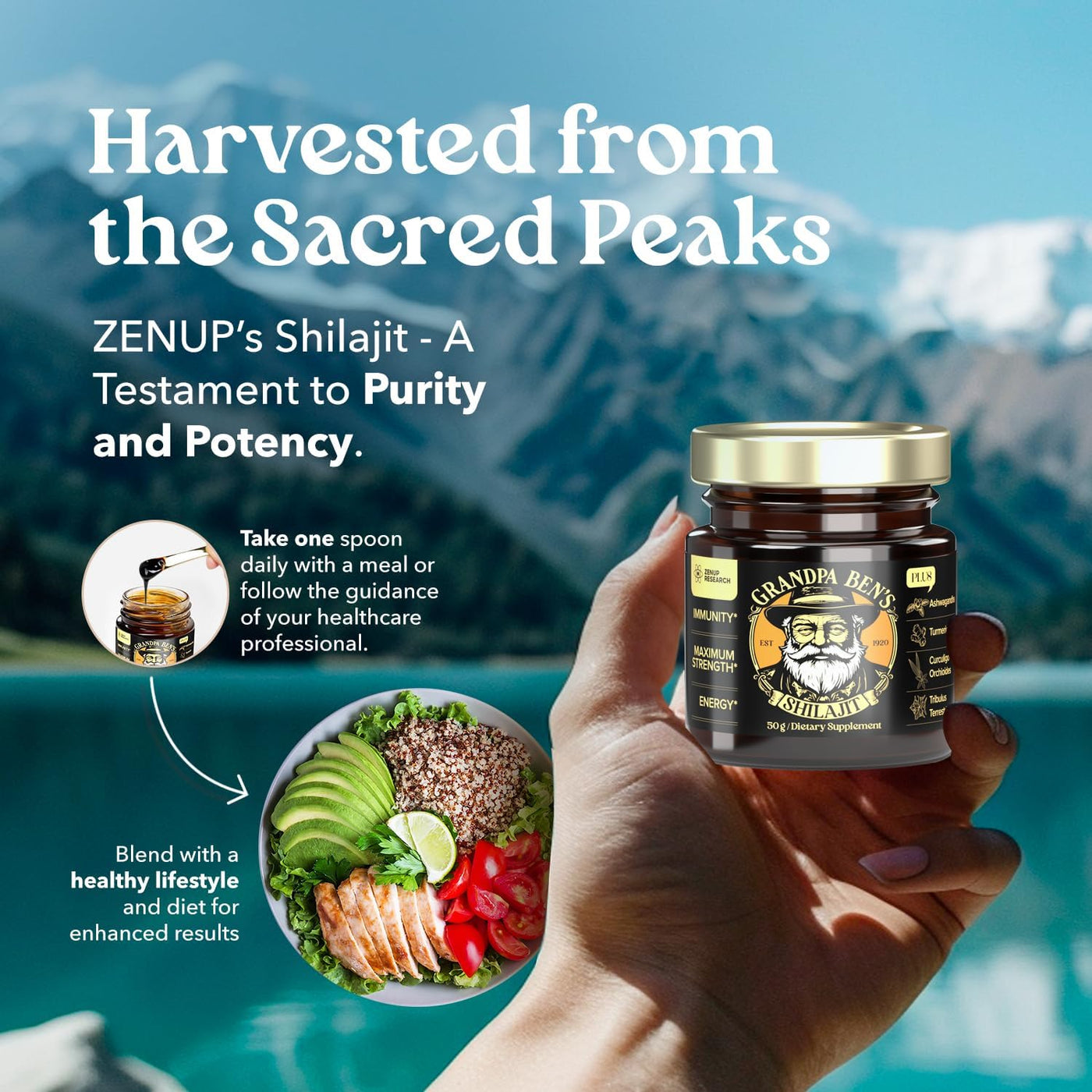 50G Shilajit Pure Himalayan Organic Shilajit Resin
