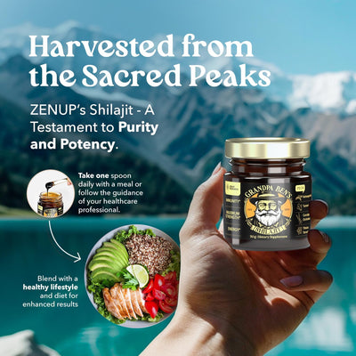 50G Shilajit Pure Himalayan Organic Shilajit Resin