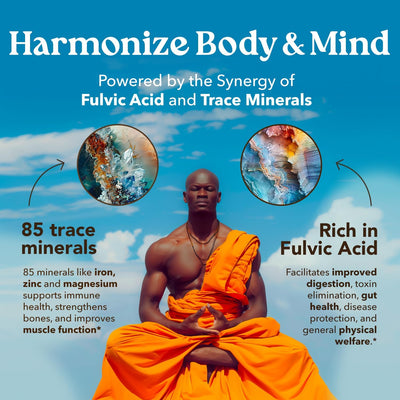 50G Shilajit Pure Himalayan Organic Shilajit Resin