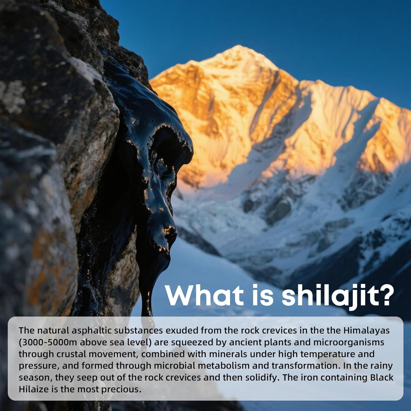Himalayan Pure Shilajit Sticks with Organic Honey