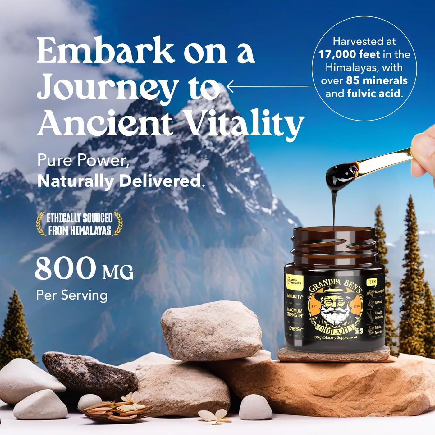 50G Shilajit Pure Himalayan Organic Shilajit Resin