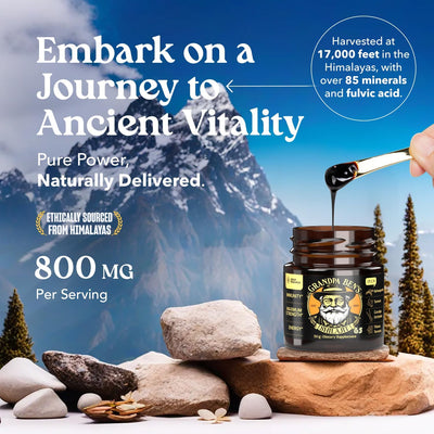 50G Shilajit Pure Himalayan Organic Shilajit Resin