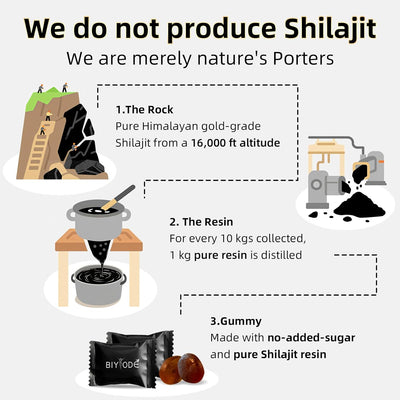Himalayan Shilajit Gummies 60 Gummies
