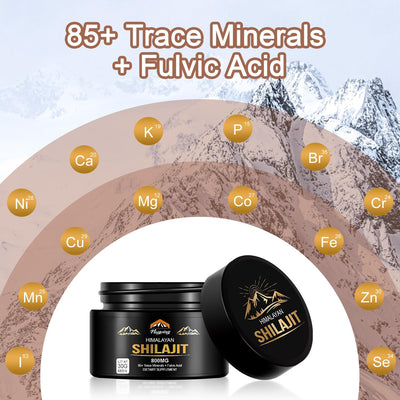 Organic Shilajit Resin
