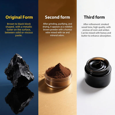 Himalayan Pure Shilajit Sticks with Organic Honey