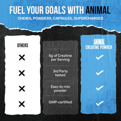 Animal Creatine Monohydrate Powder 300g